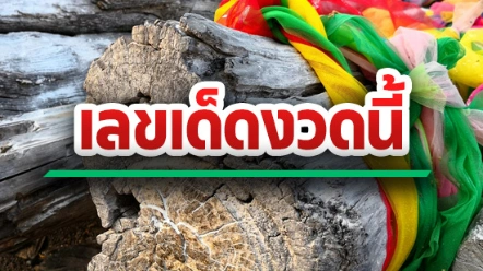 เลขเด็ดงวดนี้ 16 กันยายน 2569 รวมเลขดังมาแรง คอหวยส่องไว้เป็นแนวทางก่อนหวยออก