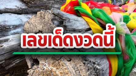 เลขเด็ดงวดนี้ 1 พฤศจิกายน 2569 จากหลายสำนักดัง ใครกำลังมองหาเลขที่ถูกใจ เช็กได้ที่นี่เลย
