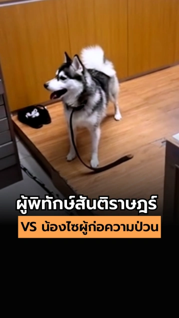 ผู้พิทักษ์สันติราษฎร์ VS น้องไซผู้ก่อความป่วน
