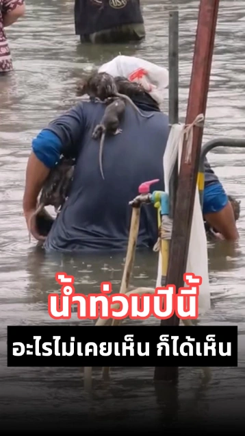น้ำท่วมปีนี้ อะไรไม่เคยเห็น ก็จะได้เห็น
