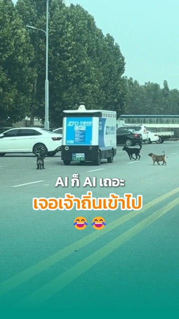 เมื่อรถยนต์ไร้คนขับ เจอความป่วนของเจ้าถิ่นสี่ขา ถึงกับ...
