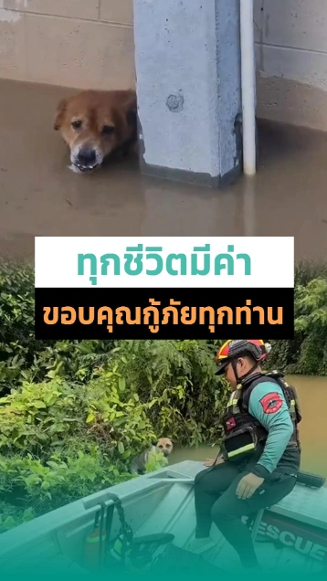 เห็นแล้วใจเจ็บ ! น้องหมาลอยคอติดน้ำท่วม ถ้าไม่มีพี่กู้ภัย พวกน้องจะเป็นยังไง