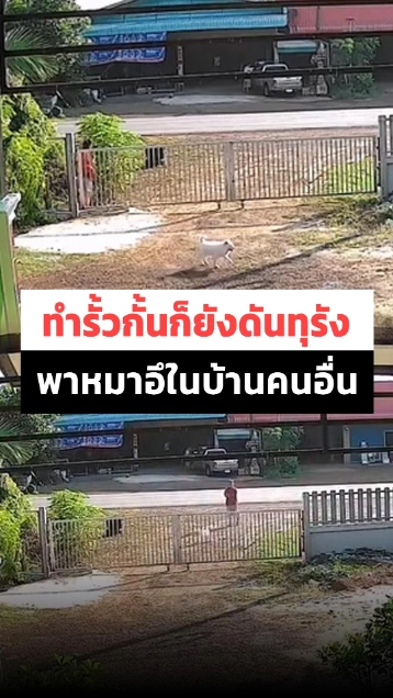 แฉมนุษย์ป้าข้างบ้าน ปล่อยหมาอึในบ้านคนอื่นแม้มีรั้วกั้นก็ไม่สน