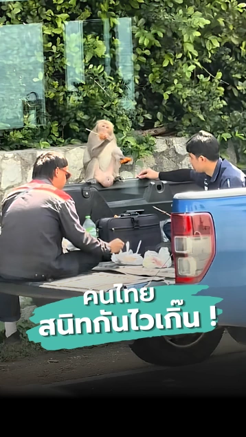 เมื่อแขกไม่ได้รับเชิญมาร่วมโต๊ะ คนไทยสนิทกันไวเกิ๊น !
