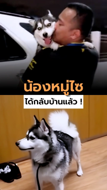 สภ.เมืองพัทยา ส่งน้องหมู่ไซ กลับบ้านแล้ว !