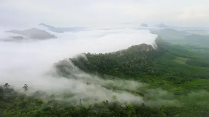 วังผาเมฆ ตรัง ชวนขึ้นเขาชมทะเลหมอก สัมผัสวิวสวยยามเช้า