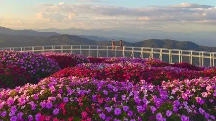 สวนดอกไม้เชียงใหม่ 2569 รวมพิกัดสวนสวยรับลมหนาว