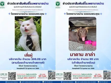 รพ.น่าน ขอบคุณผู้บริจาค คนแห่แซวจนไวรัล สายบุญโผล่เพียบ แต่ละรายไม่ธรรมดา
