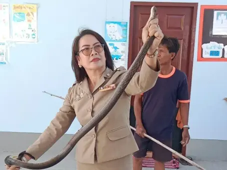ครูศูนย์เด็กเล็กใจกล้า เจอตัวการป่วนห้องเรียน ลงมือเองไม่ถอย ชาวเน็ตแห่ชื่นชม
